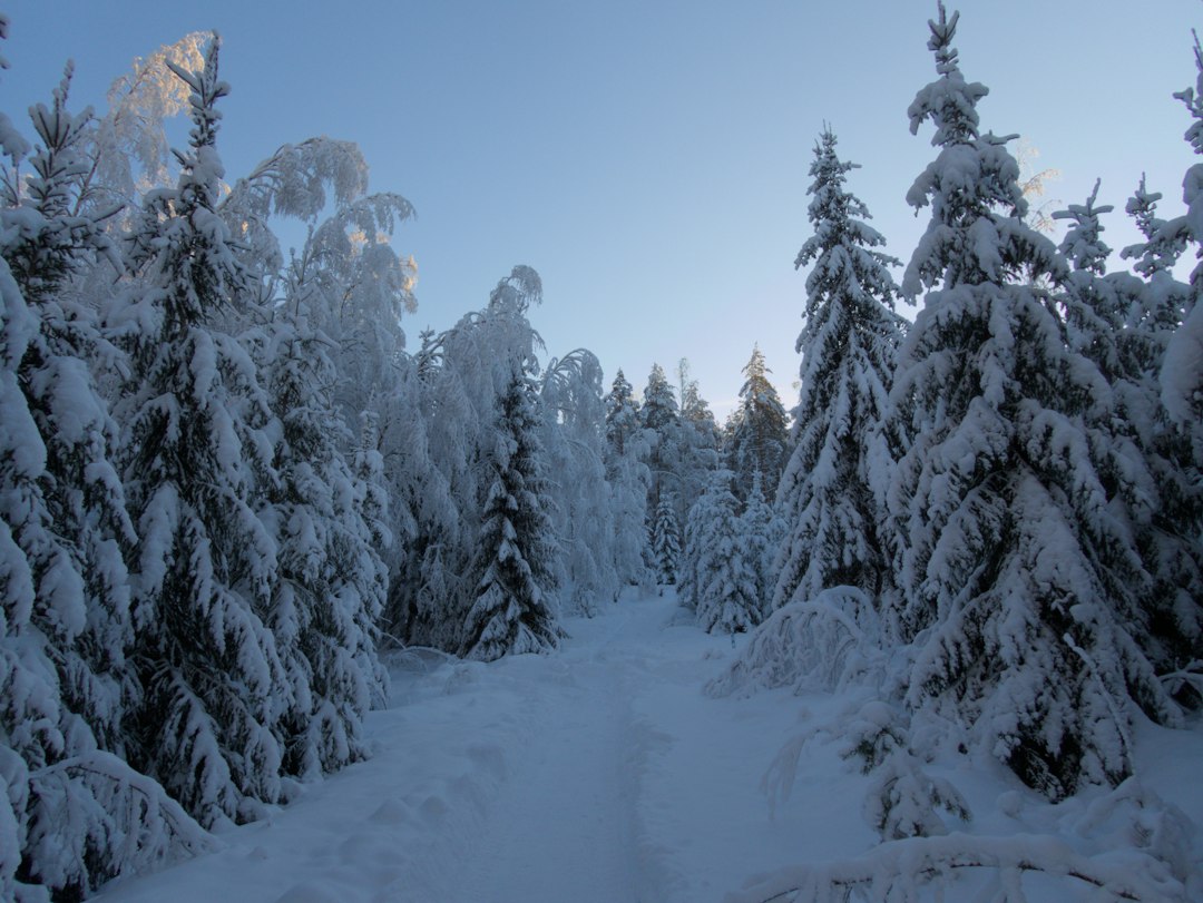 Finland travel