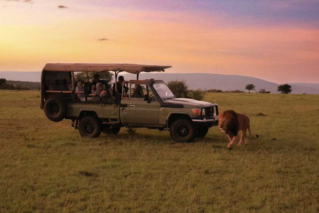 South Africa, Zimbabwe and Botswana travel